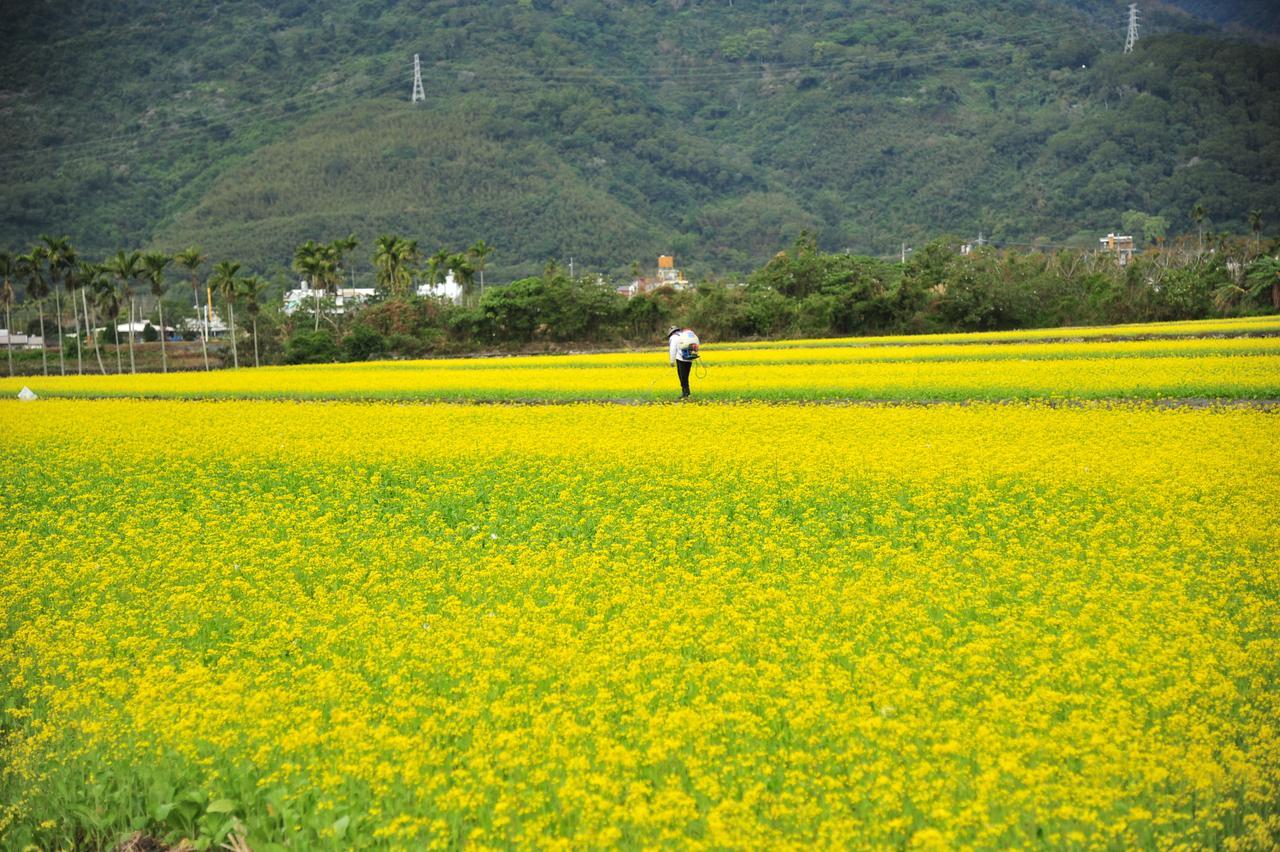 Guanshan Fukuda Homestay Dış mekan fotoğraf